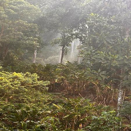 Falling Waters Munnar Esterno foto