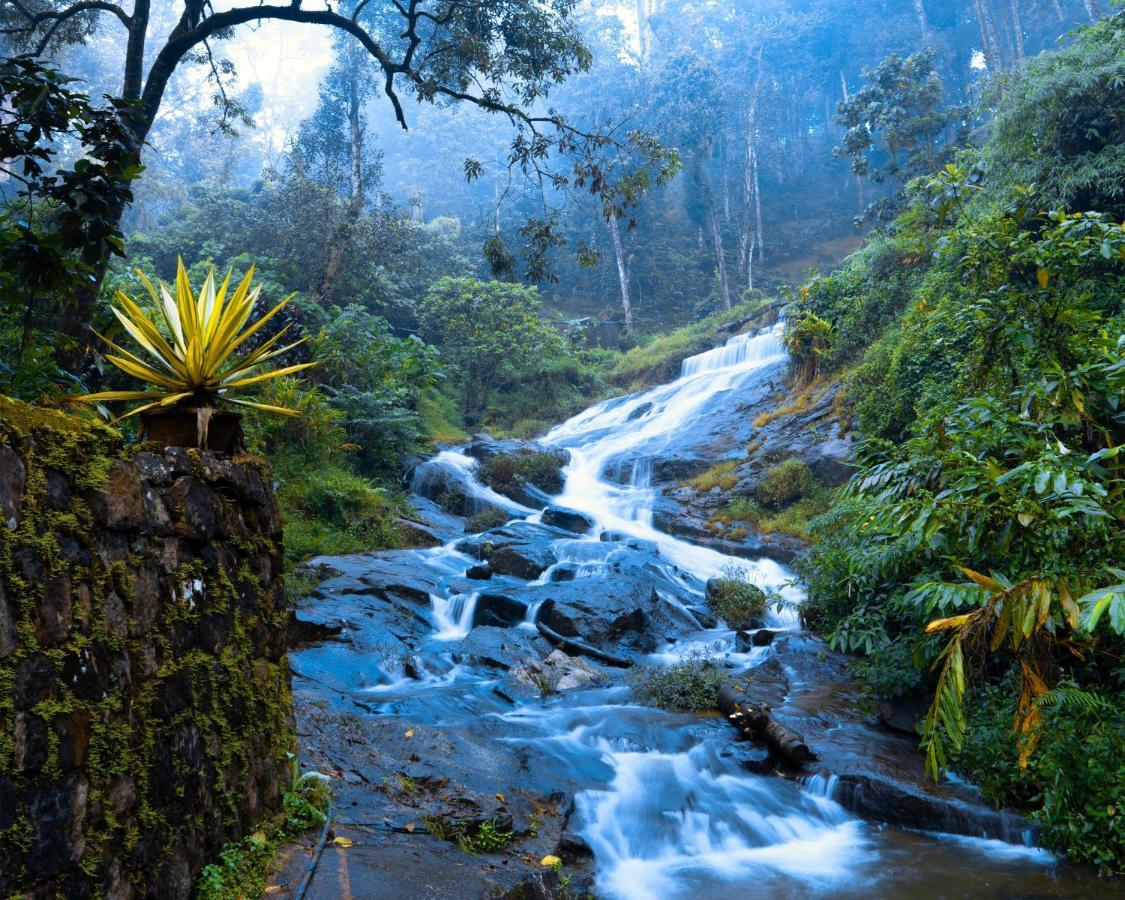 Falling Waters Munnar Esterno foto