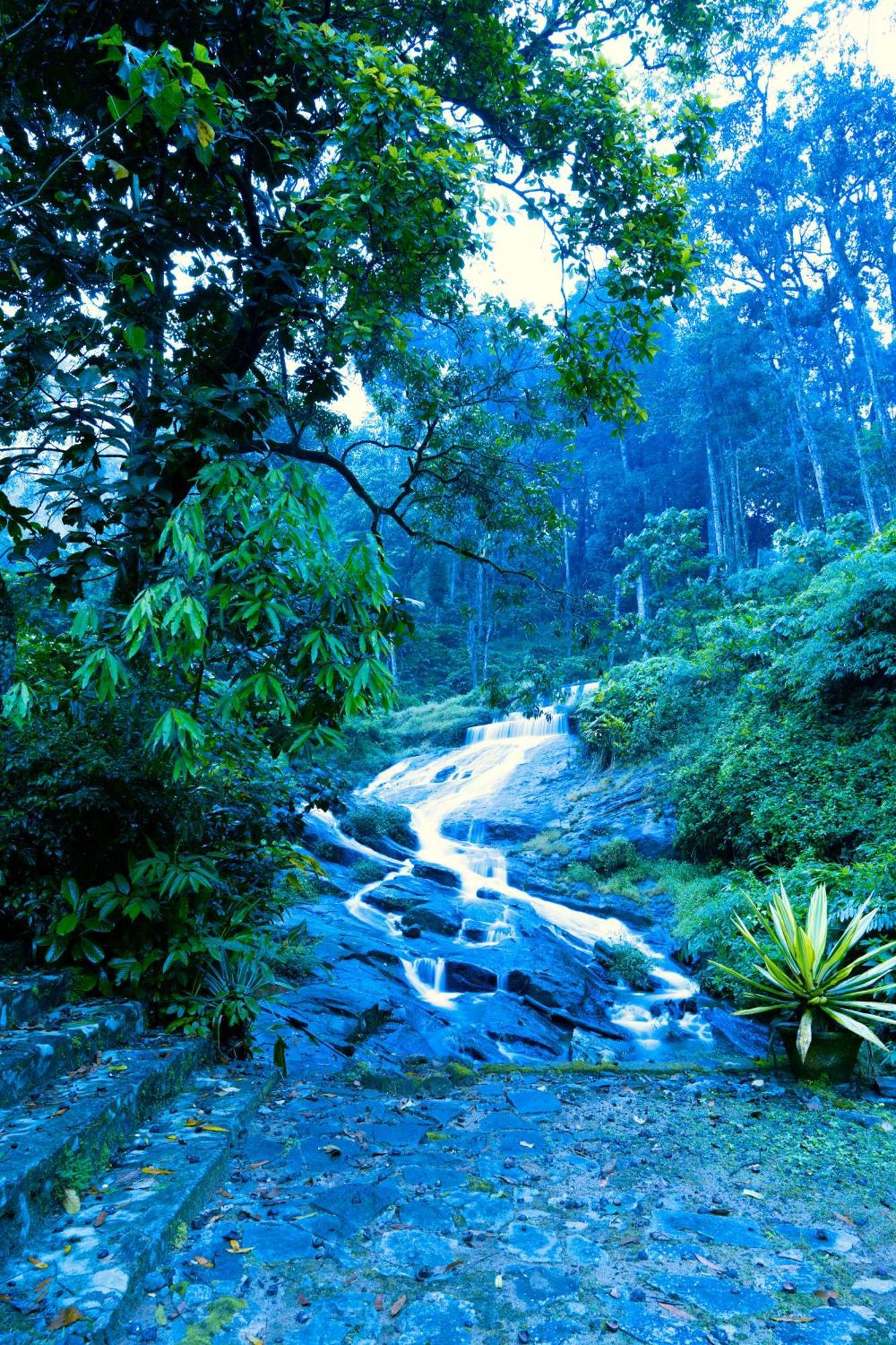 Falling Waters Munnar Esterno foto